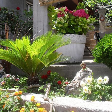 Apartments Sandra Τίβατ Εξωτερικό φωτογραφία